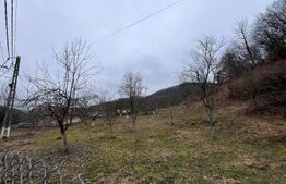 Teren intravilan 3.709 mp, Geoagiu de Sus, Stremț