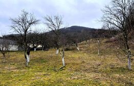 Teren intravilan 3.709 mp,  Stremț