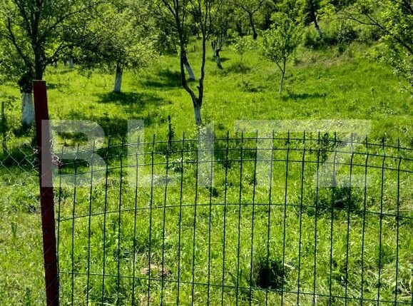 Teren de vânzare Stremt - 188465TV | BLITZ Alba Iulia | Poza2