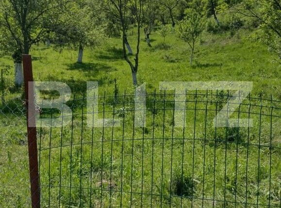 Teren de vânzare Stremt - 188465TV | BLITZ Alba Iulia | Poza5