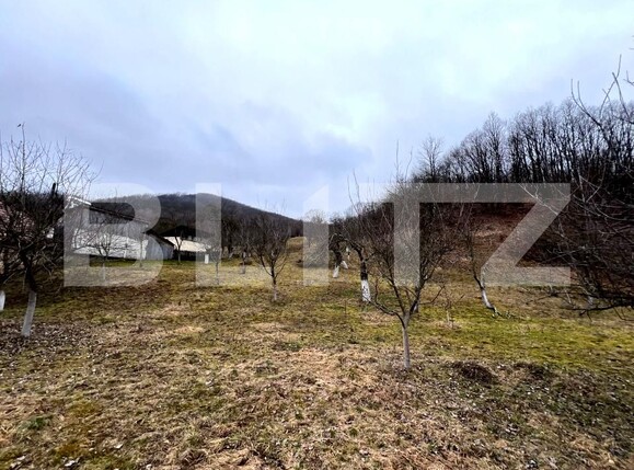 Teren de vânzare Stremt - 188465TV | BLITZ Alba Iulia | Poza4