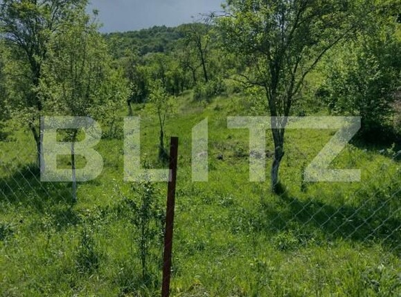 Teren de vânzare Stremt - 188465TV | BLITZ Alba Iulia | Poza4