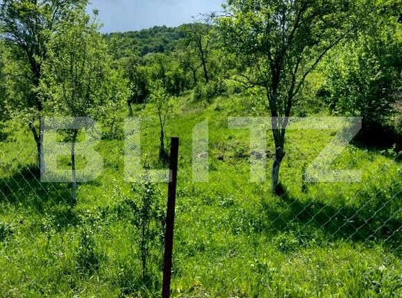 Teren de vânzare Stremt - 188465TV | BLITZ Alba Iulia | Poza1