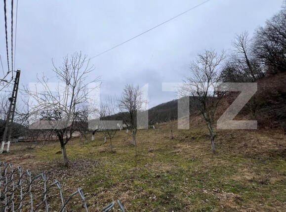 Teren de vânzare Stremt - 188465TV | BLITZ Alba Iulia | Poza2