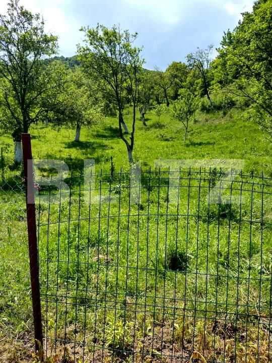 Teren de vânzare Stremt - 188465TV | BLITZ Alba Iulia | Poza2