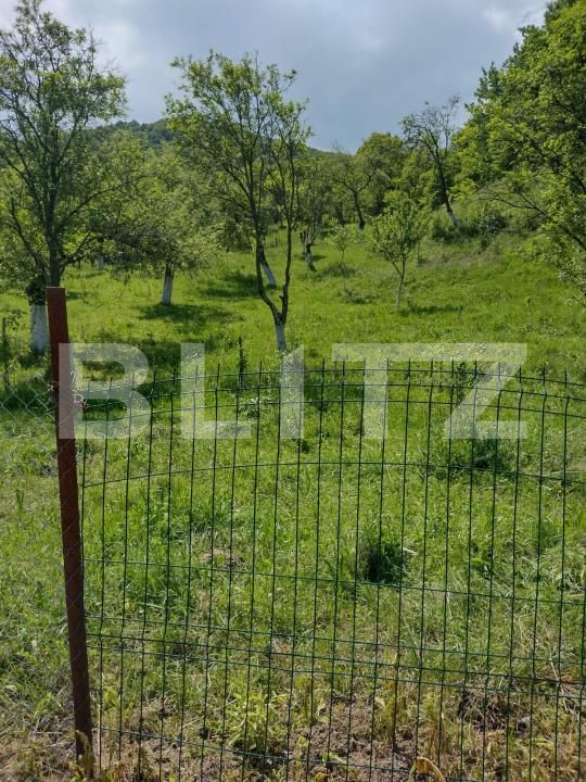 Teren de vânzare Stremt - 188465TV | BLITZ Alba Iulia | Poza5