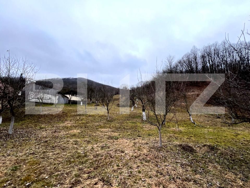 Teren de vânzare Stremt - 188465TV | BLITZ Alba Iulia | Poza4