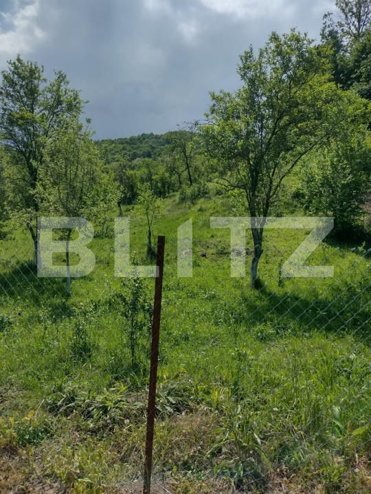 Teren de vânzare Stremt - 188465TV | BLITZ Alba Iulia | Poza4