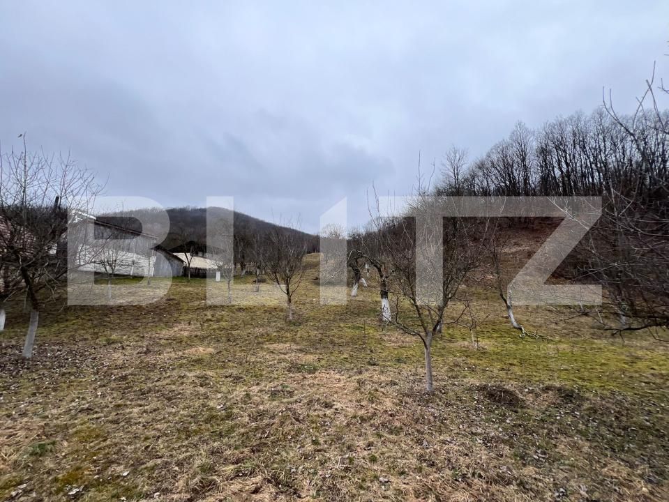 Teren de vânzare Stremt - 188465TV | BLITZ Alba Iulia | Poza3