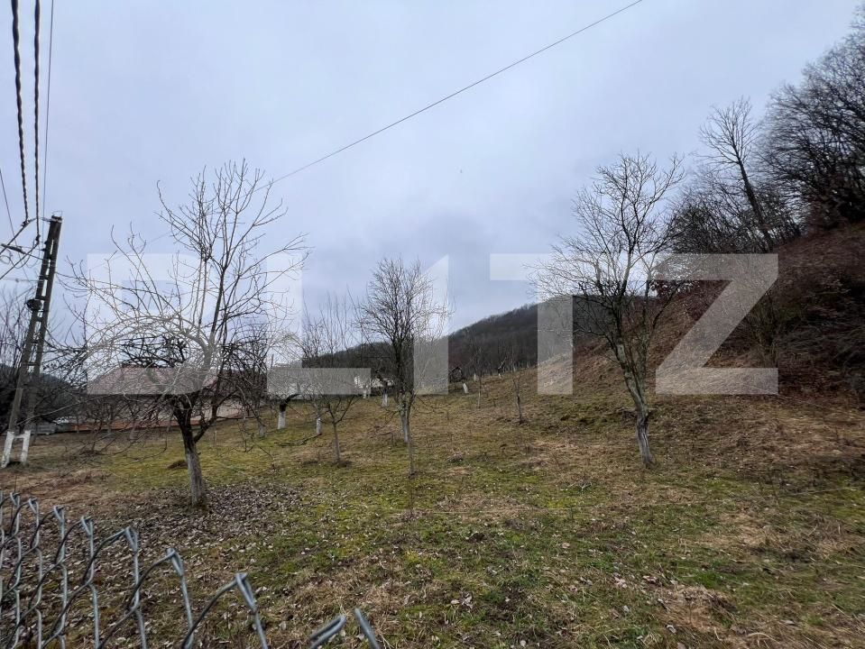 Teren de vânzare Stremt - 188465TV | BLITZ Alba Iulia | Poza2