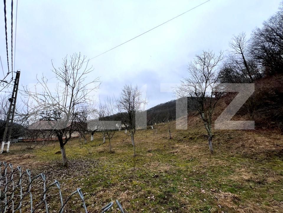 Teren de vânzare Stremt - 188465TV | BLITZ Alba Iulia | Poza4
