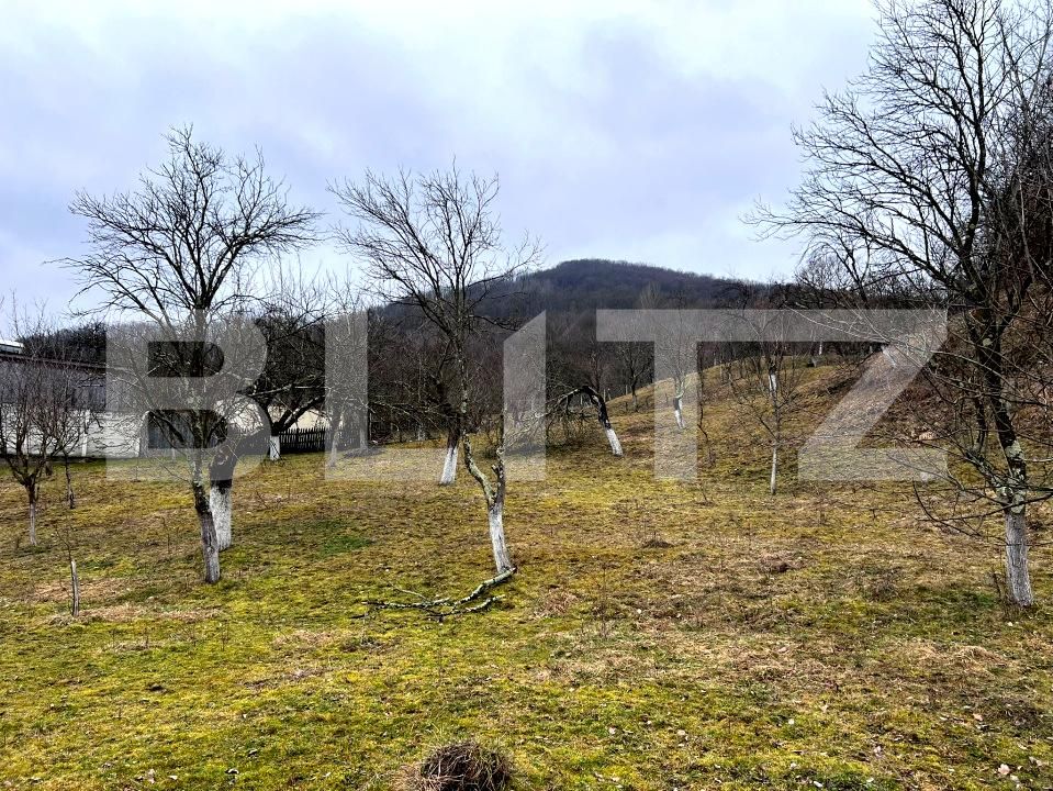 Teren de vânzare Stremt - 188465TV | BLITZ Alba Iulia | Poza3