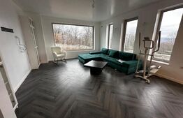 Locuinta + curte 1000 mp, 220 mp utili, zona Schit 