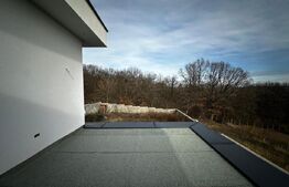 Locuinta + curte 1000 mp, 220 mp utili, zona Schit 