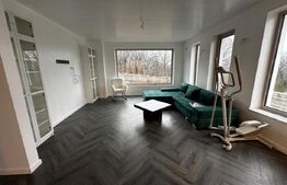 Locuinta + curte 1000 mp, 220 mp utili, zona Schit 