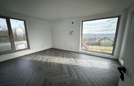 Locuinta + curte 1000 mp, 220 mp utili, zona Schit 