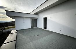 Locuinta + curte 1000 mp, 220 mp utili, zona Schit 