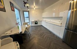 Locuinta + curte 1000 mp, 220 mp utili, zona Schit 