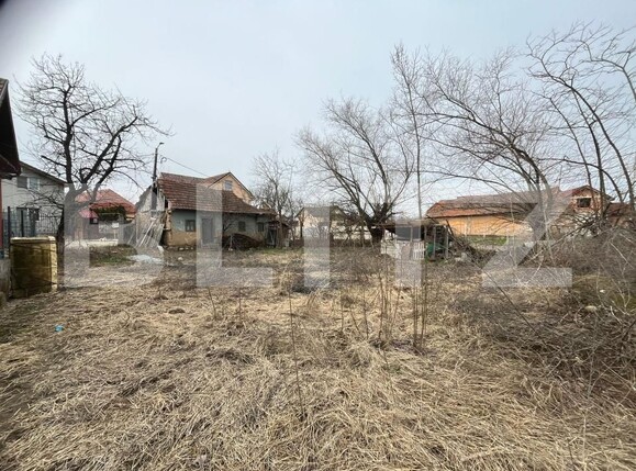 Teren de vânzare Micești - 188523TV | BLITZ Alba Iulia | Poza1