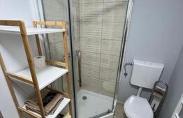 Proprietate pe malul Mureșului – Stâna de Mureș