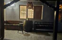 Proprietate pe malul Mureșului – Stâna de Mureș