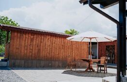 Proprietate pe malul Mureșului – Stâna de Mureș