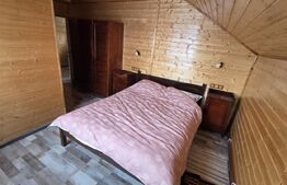 Proprietate pe malul Mureșului – Stâna de Mureș