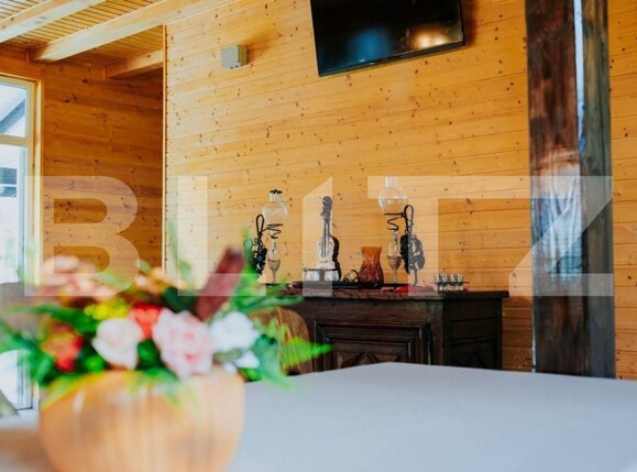 Casa de vânzare 6 camere Ocna Mures - 188545CV | BLITZ Alba Iulia | Poza8