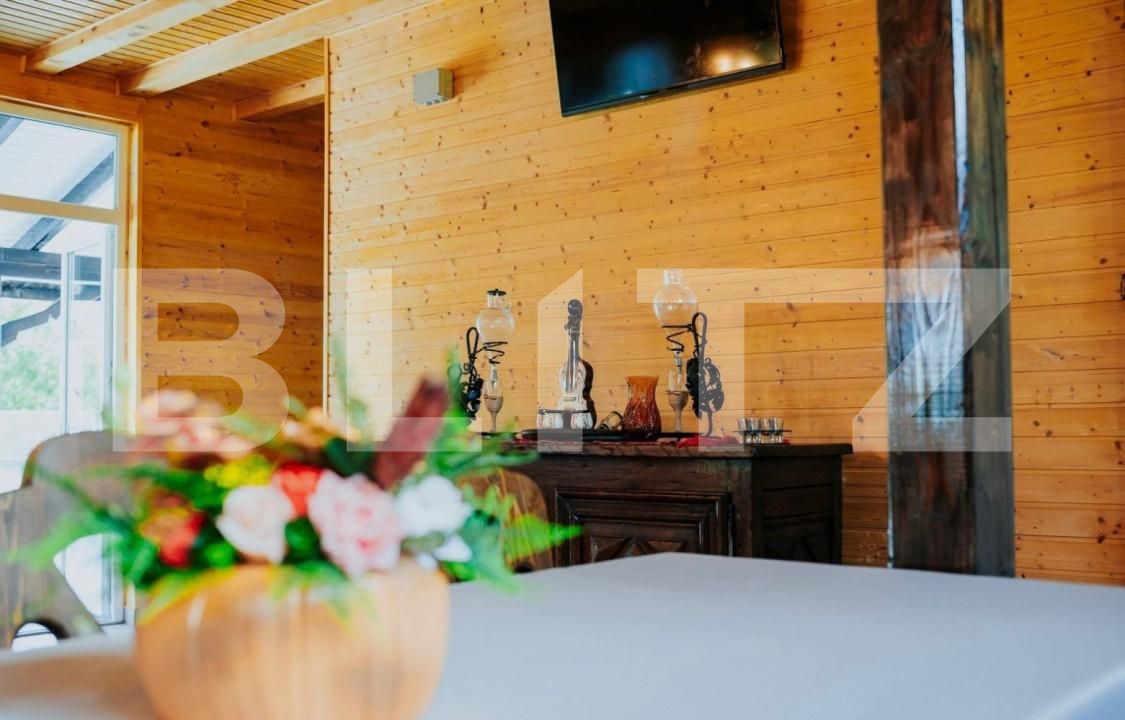 Casa de vânzare 6 camere Ocna Mures - 188545CV | BLITZ Alba Iulia | Poza10