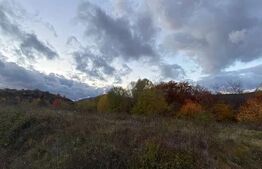 Teren de vânzare – Râmeț, jud. Alba