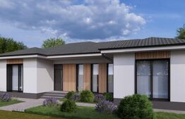 Casă de vânzare zona Micesti