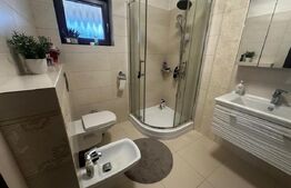 Casă de vânzare, 164 mp, zona Micesti 