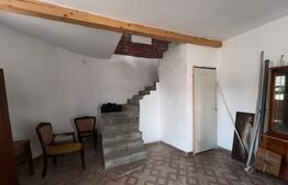 Pensiune în construcție cu potențial turistic și teren generos. 420mp utili 