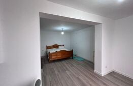 Pensiune în construcție cu potențial turistic și teren generos. 420mp utili 