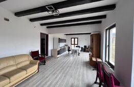 Pensiune în construcție cu potențial turistic și teren generos. 420mp utili 