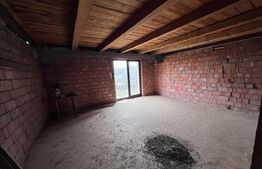 Pensiune în construcție cu potențial turistic și teren generos. 420mp utili 