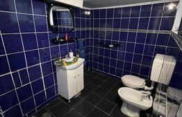 Casă tip duplex – 272 mp utili, 9 camere ,in  zona Cetate