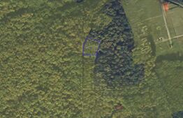 Teren împădurit intravilan de vânzare, 1000 mp, Alba Iulia – Valea Popii