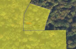 Teren împădurit intravilan de vânzare, 1000 mp, Alba Iulia – Valea Popii