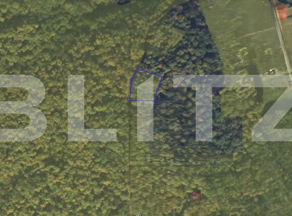 Teren de vânzare Cetate - 188877TV | BLITZ Alba Iulia | Poza2