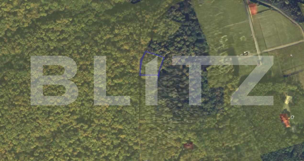 Teren de vânzare Cetate - 188877TV | BLITZ Alba Iulia | Poza2