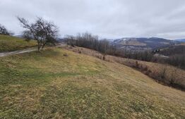 Teren extravilan de 13139 mp – Abrud