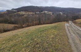 Teren extravilan de 13139 mp – Abrud