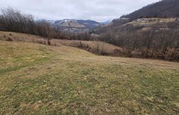 Teren extravilan de 13139 mp – Abrud