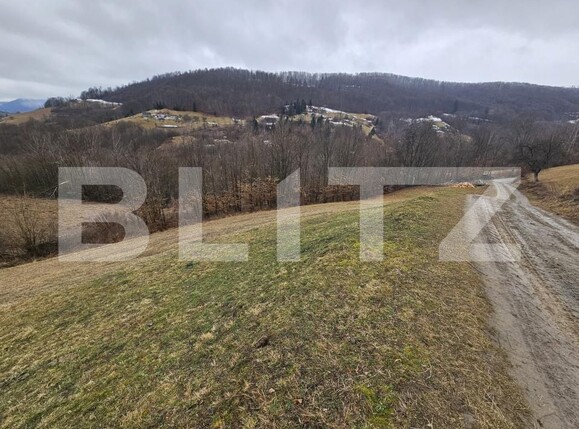 Teren de vânzare Abrud - 188946TV | BLITZ Alba Iulia | Poza1