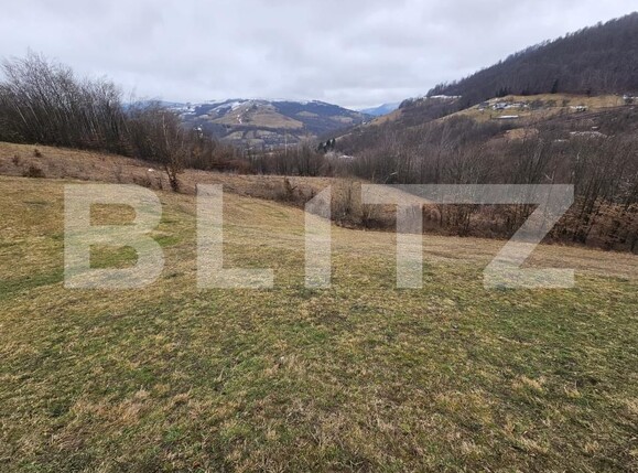 Teren de vânzare Abrud - 188946TV | BLITZ Alba Iulia | Poza2