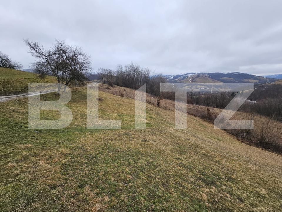 Teren de vânzare Abrud - 188946TV | BLITZ Alba Iulia | Poza2
