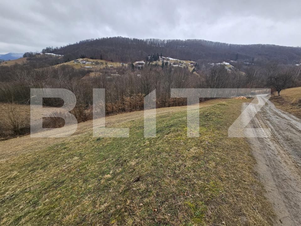 Teren de vânzare Abrud - 188946TV | BLITZ Alba Iulia | Poza3