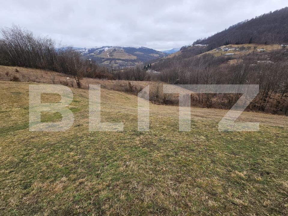 Teren de vânzare Abrud - 188946TV | BLITZ Alba Iulia | Poza2
