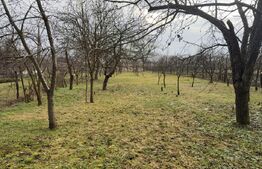 Casa 4 camere,teren 2770 mp,Uioara de jos